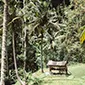 Bamboo Bench