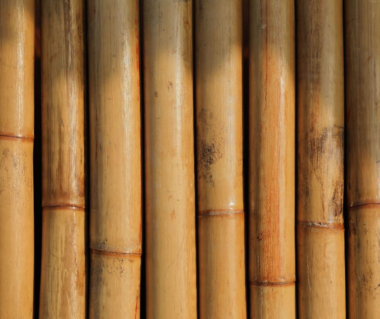 brown bamboo stalks